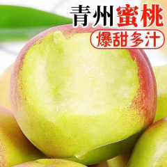 【团购五期】青州蜜桃4.5斤装