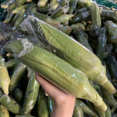 【积分商城】云南新鲜水果玉米5斤250g+
